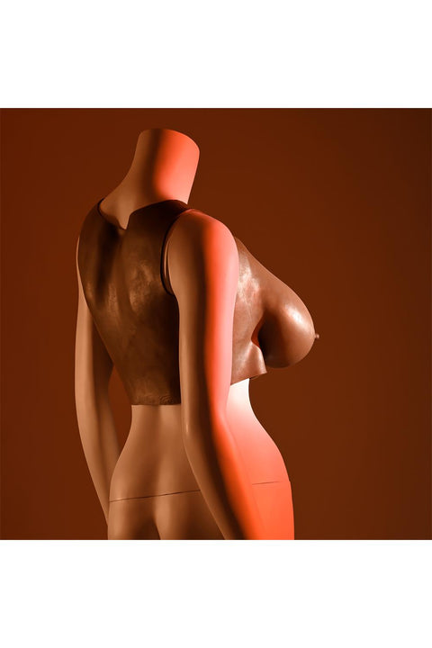 Gender X Undergarments Plate E Cup Dark