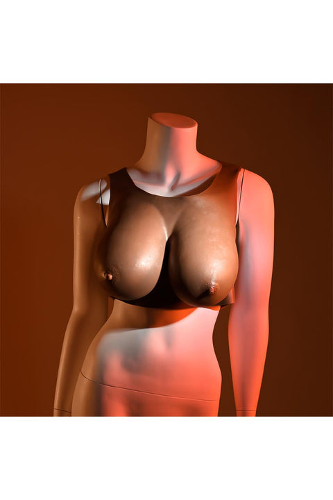 Gender X Undergarments Plate E Cup Dark