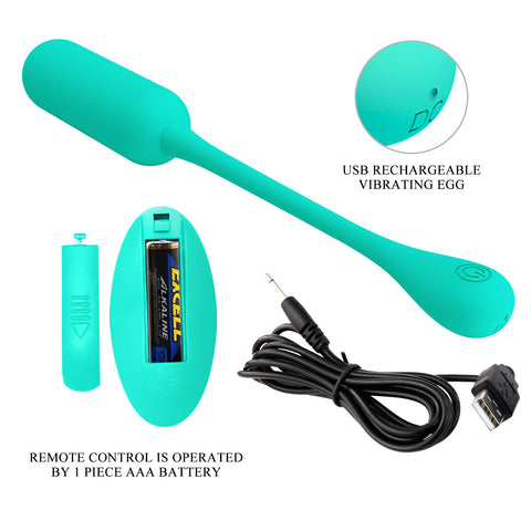 Pretty Love Lechies 5 Egg Vibrator Teal BI-014867W-A4