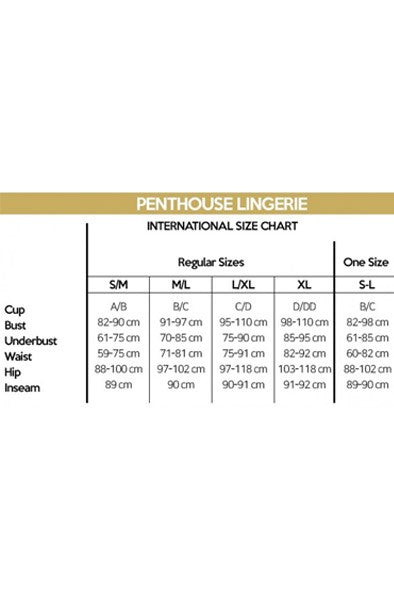 Penthouse Lingerie Go Hotter Teddy 4846 Black - OS