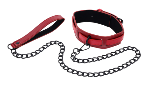 S&M X&O Collar and Leash