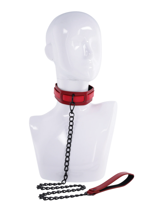 S&M X&O Collar and Leash