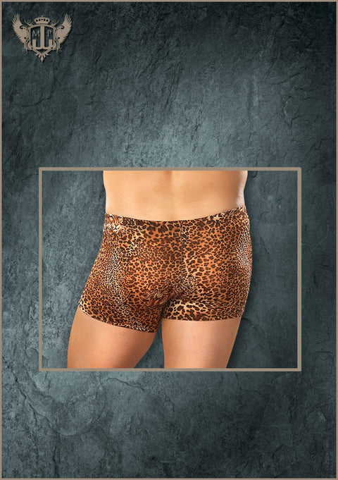 Male Power Pouch Short Leopard Lg 153030