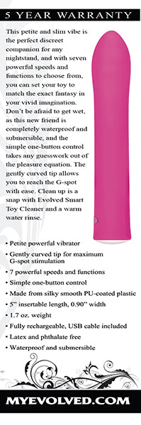 Evolved Rechargable G Spot Vibe
