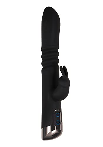 Evolved Rapid Rabbit