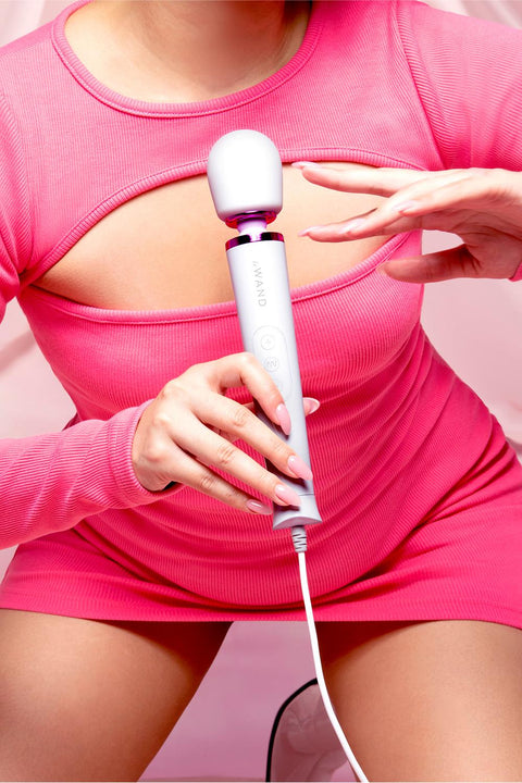 Le Wand Petite Plug In Massager White