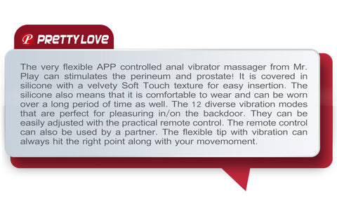 Pretty Love Andrew Prostate Vibe Anal Toy