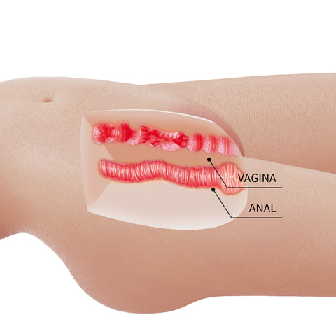 Crazy Bull Mia Vagina and Anal Realistic Torso Masturbator