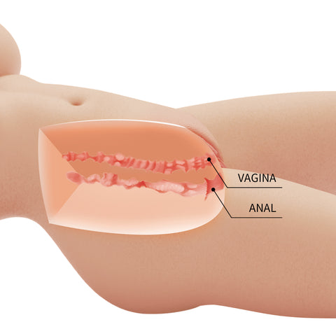 Crazy Bull Tiffany Vagina and Anal Realistic Torso Masturbator