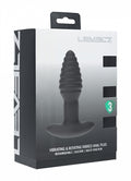 Levelz vibrating and rotating ribbed anal plug packaging on a white background