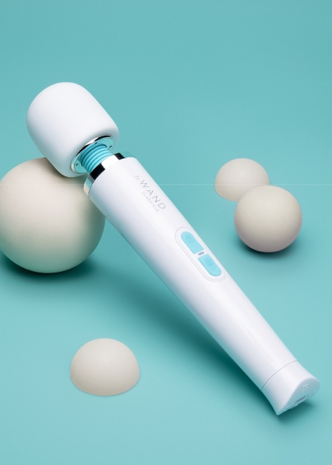 Le Wand Classique Petite Wand Massager