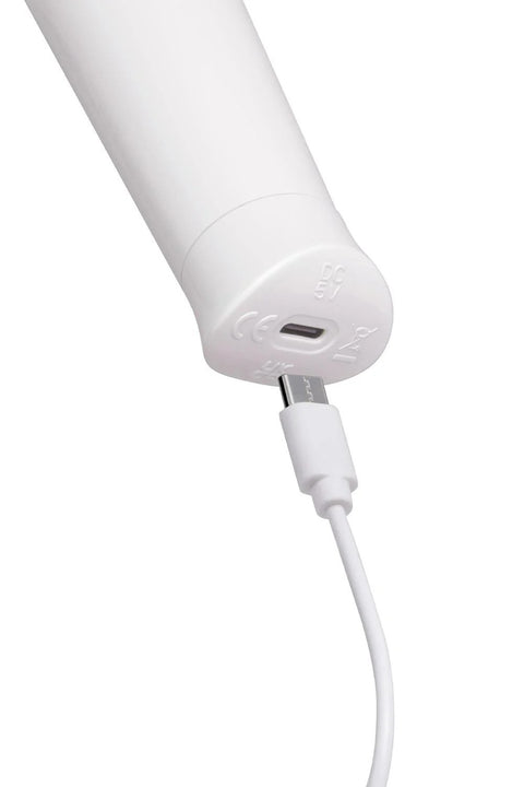 Le Wand Classique Petite Wand Massager