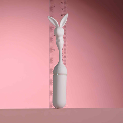 Lucky Charm Double Ended Bullet Vibrator With Light Up Head