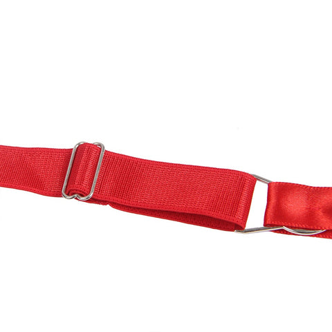 Lace Garter Panties P5201-3 Red XL
