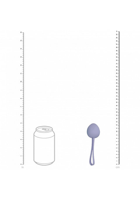 Loveline Pelvifit Berry 5 Weight Kegel Kit